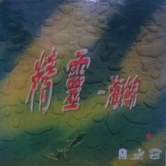 Houba Friendship 729 Red Magic Sponge