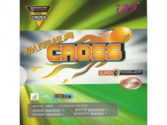 Potah Friendship RITC Cross Start